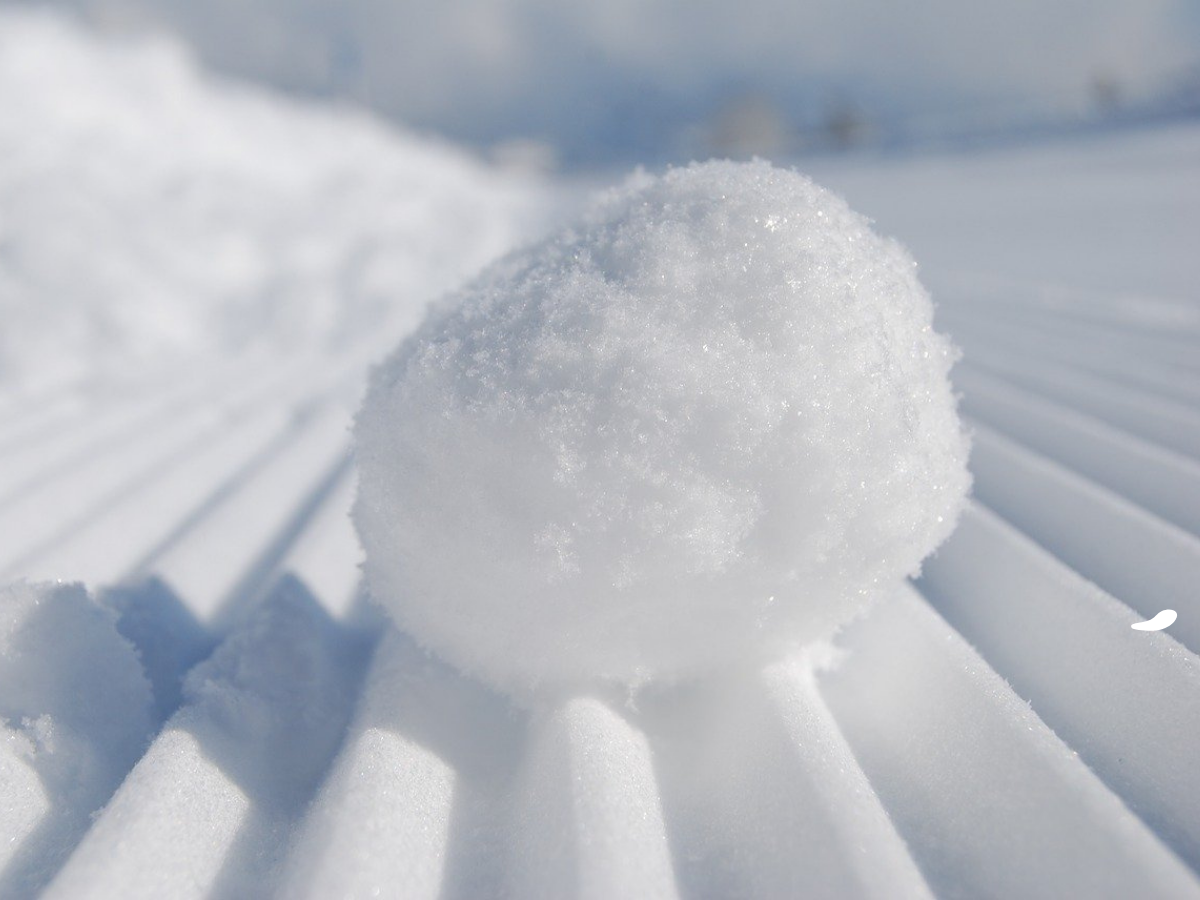 Network-Marketing-vs-Schneeball